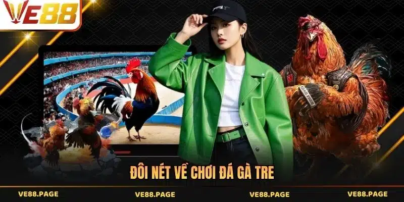 Đôi nét về chơi đá gà tre