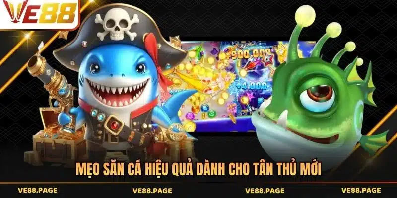 Mẹo săn cá hiệu quả dành cho tân thủ mới