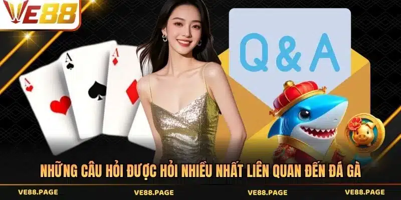 Những câu hỏi được hỏi nhiều nhất liên quan đến đá gà 