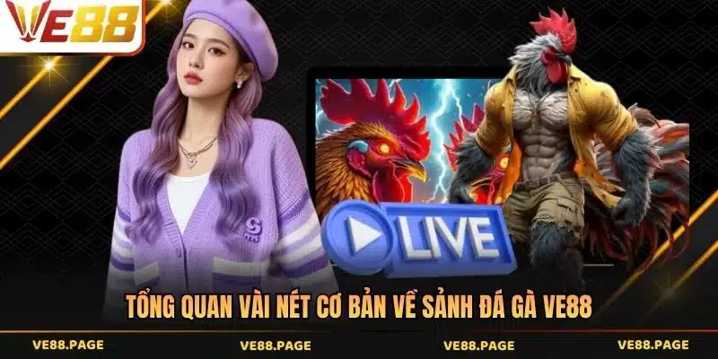 Tổng quan vài nét cơ bản về sảnh đá gà VE88